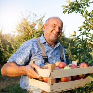 Green Sort Optical Fruit Sorting Machines | Green Sort