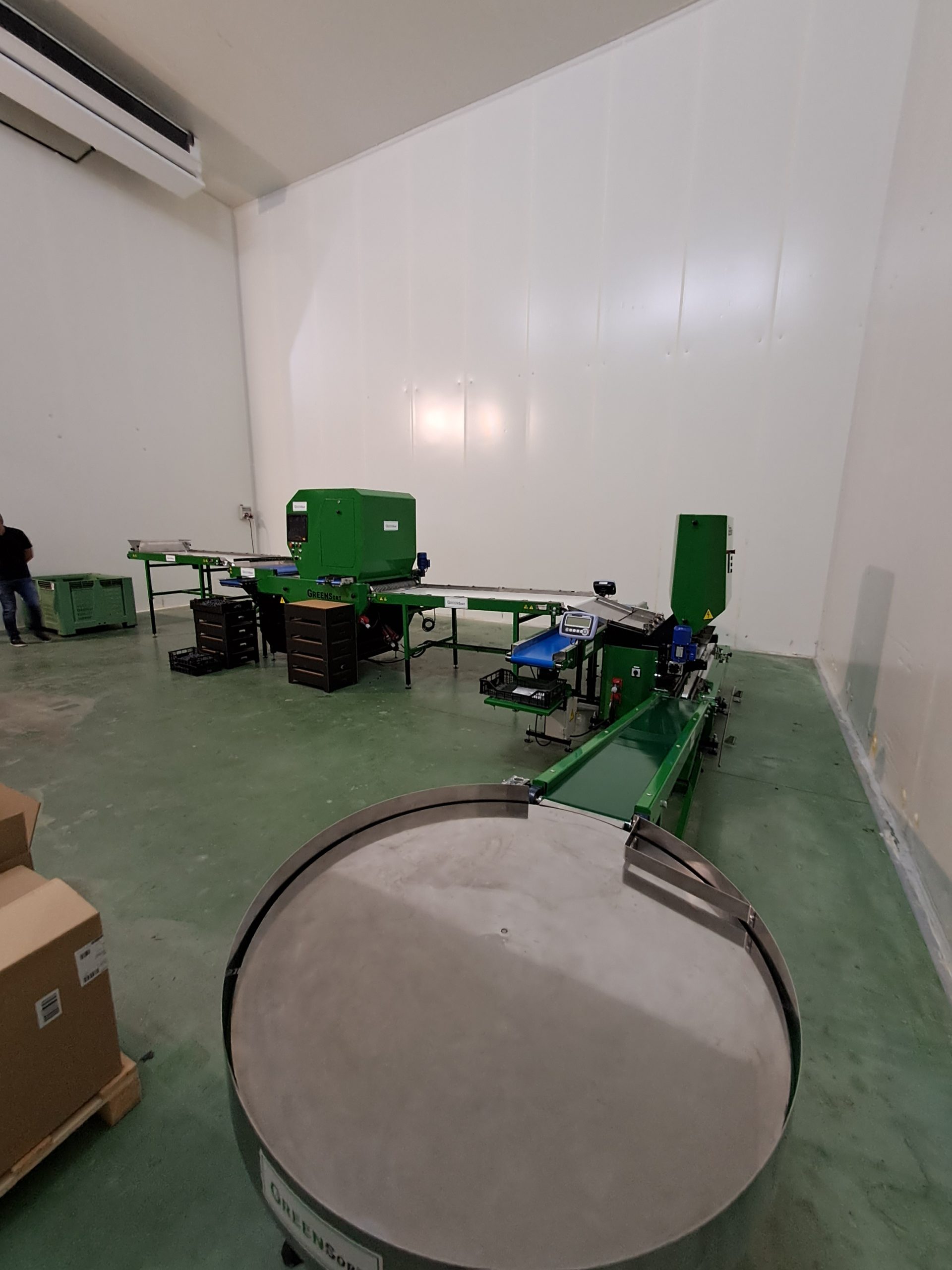 Stół obrotowy przy linii do sortowania borówki Green Sort