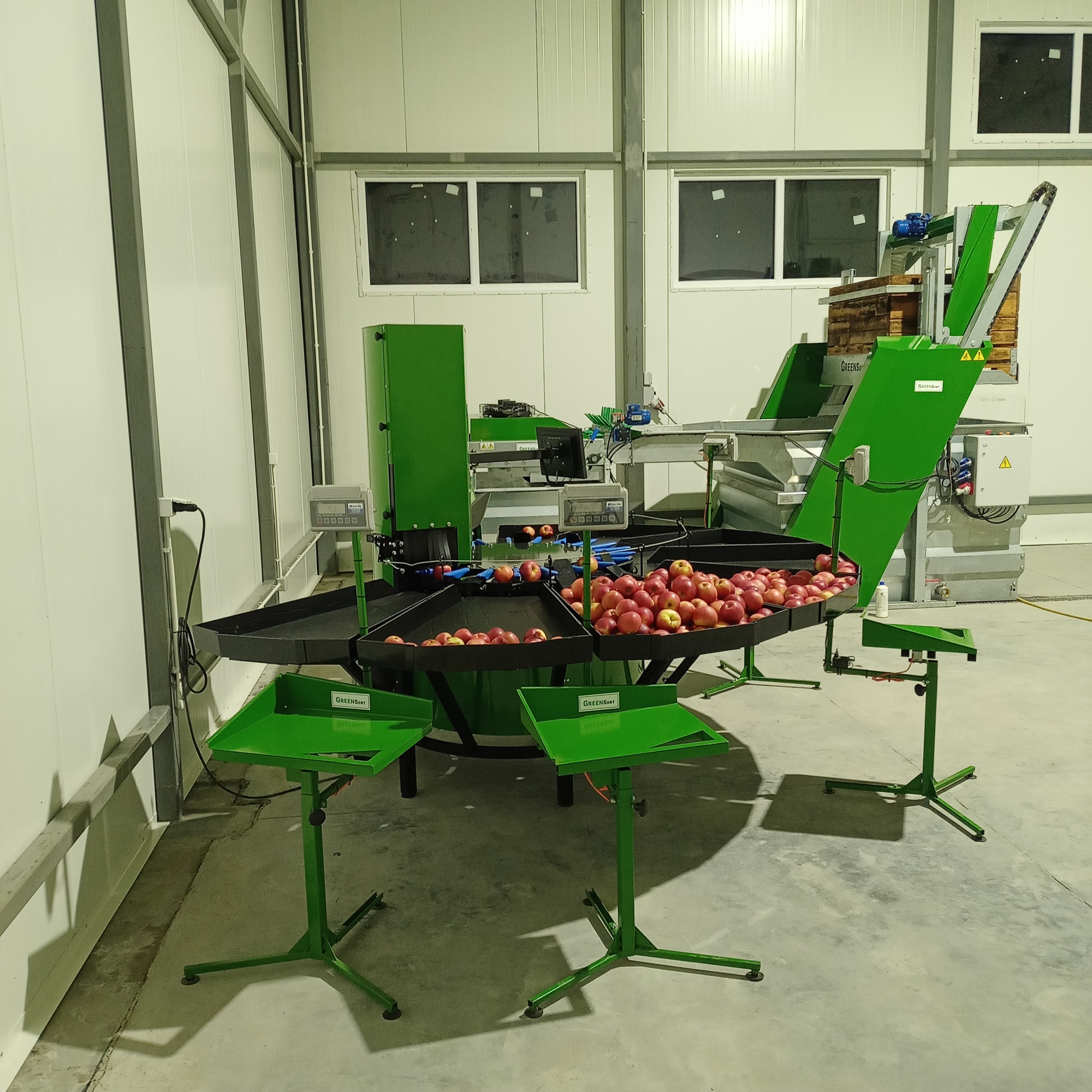 Stoły odbiorcze z jabłkami przy linii sortującej Green Sort