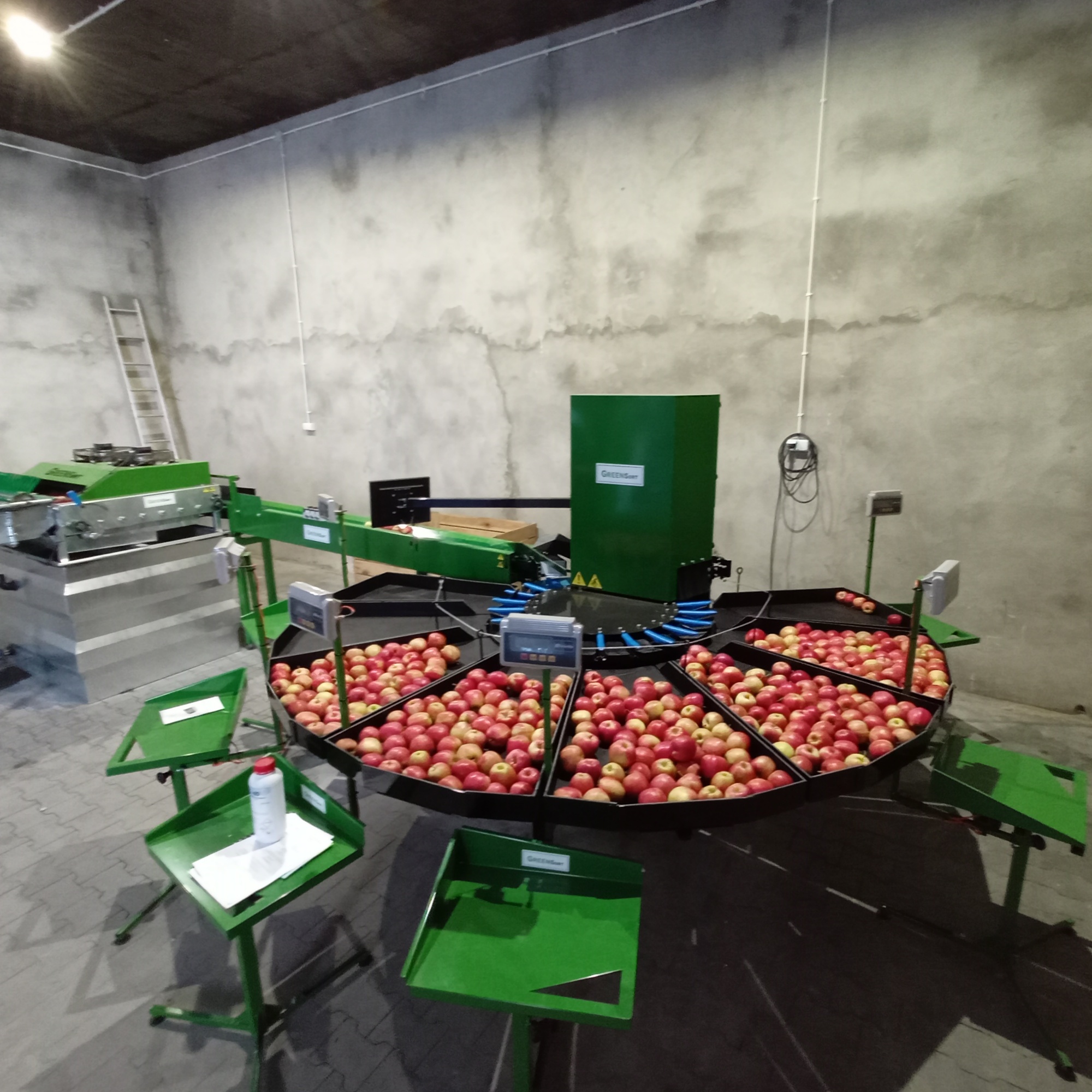 Stoły odbiorcze wypełnione jabłkami przy sortownicy Green Sort