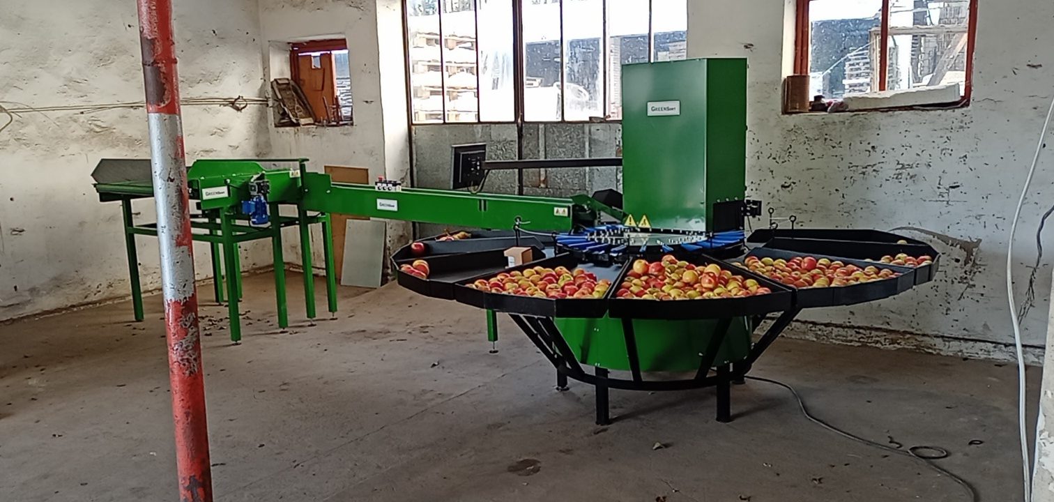 Stoły odbiorcze z jabłkami przy sortownicy wizyjnej do jabłek