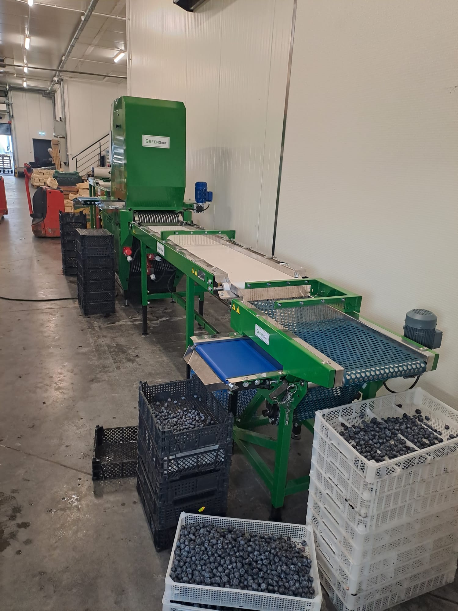 Sortownica do borówki z przenośnikiem i skrzynkami transportowymi