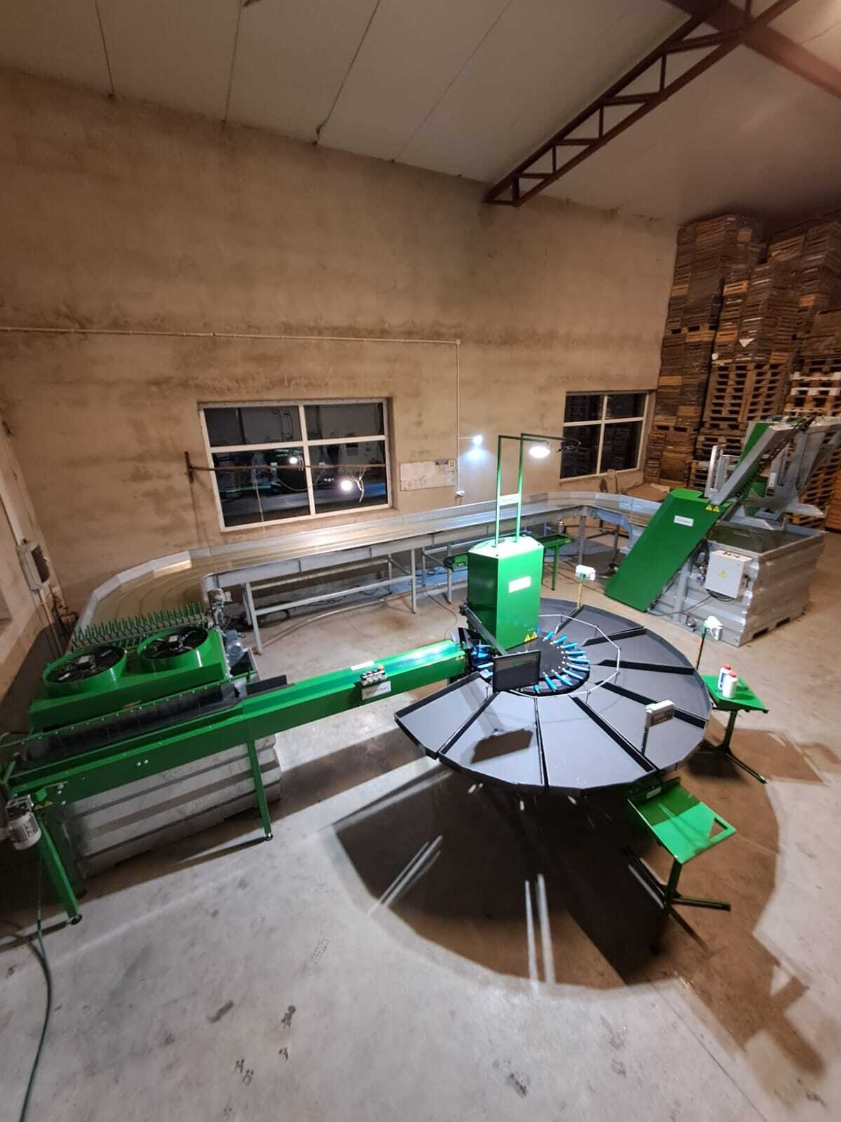 Sortownica do jabłek Green Sort z kilkoma stołami odbiorczymi