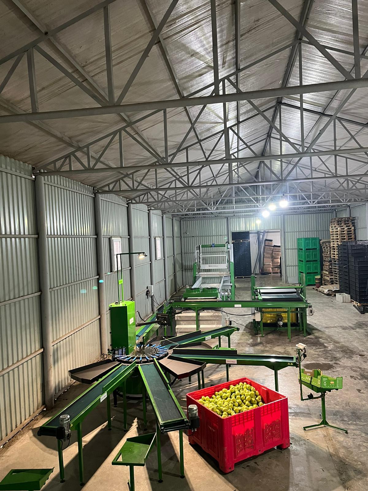 Linia do sortowania jabłek Green Sort z e stołami odbiorczymi w hali gospodarstwa