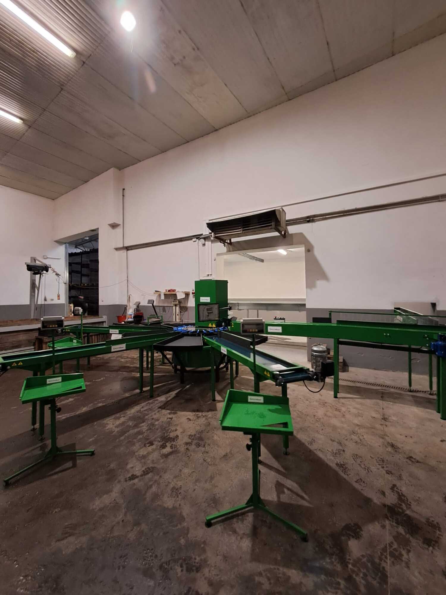 System przenośników odbiorczych przy linii do sortowania jabłek Green Sort