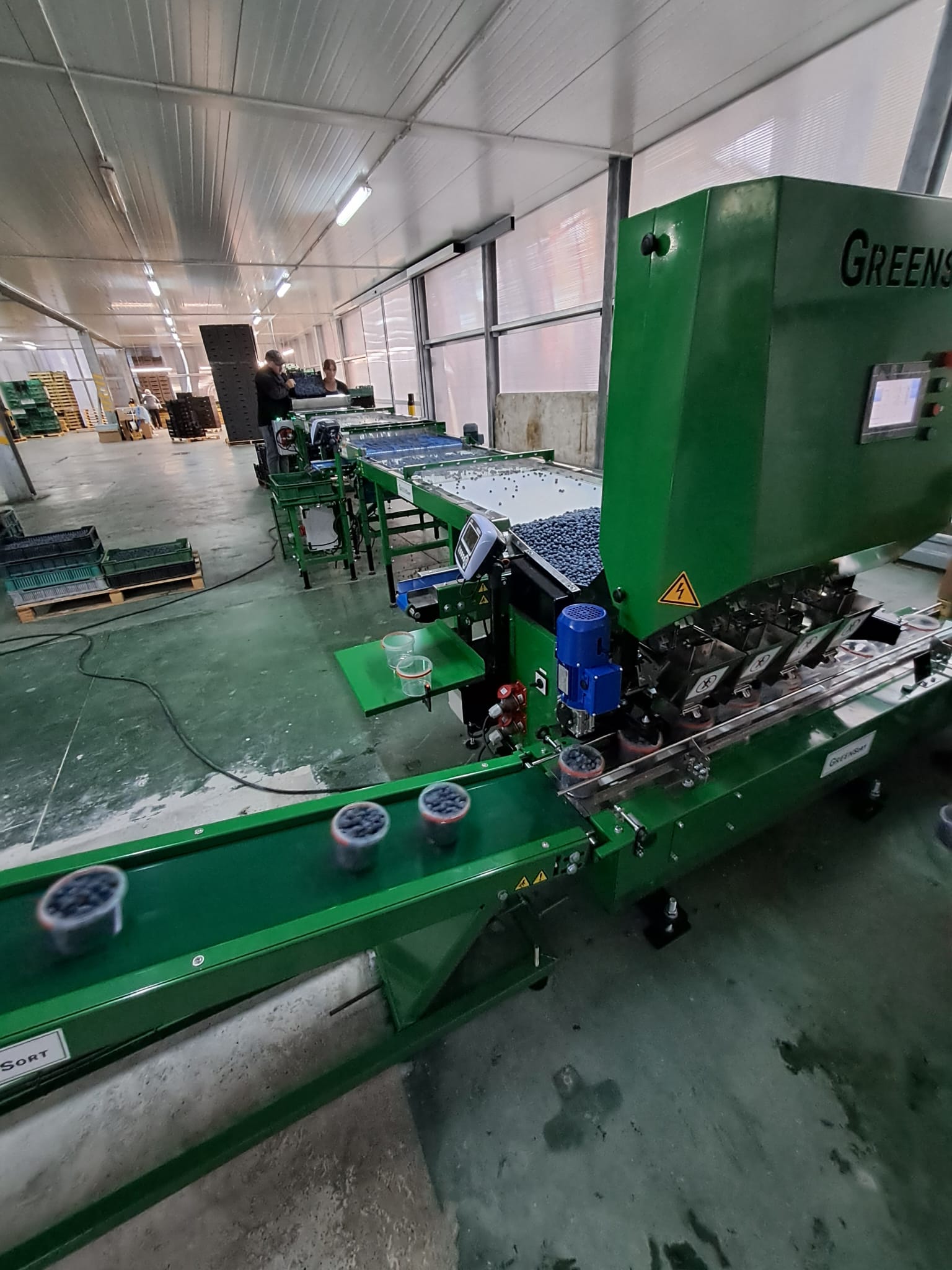 Naważarka i stół transportowy przy sortownicy Green Sort
