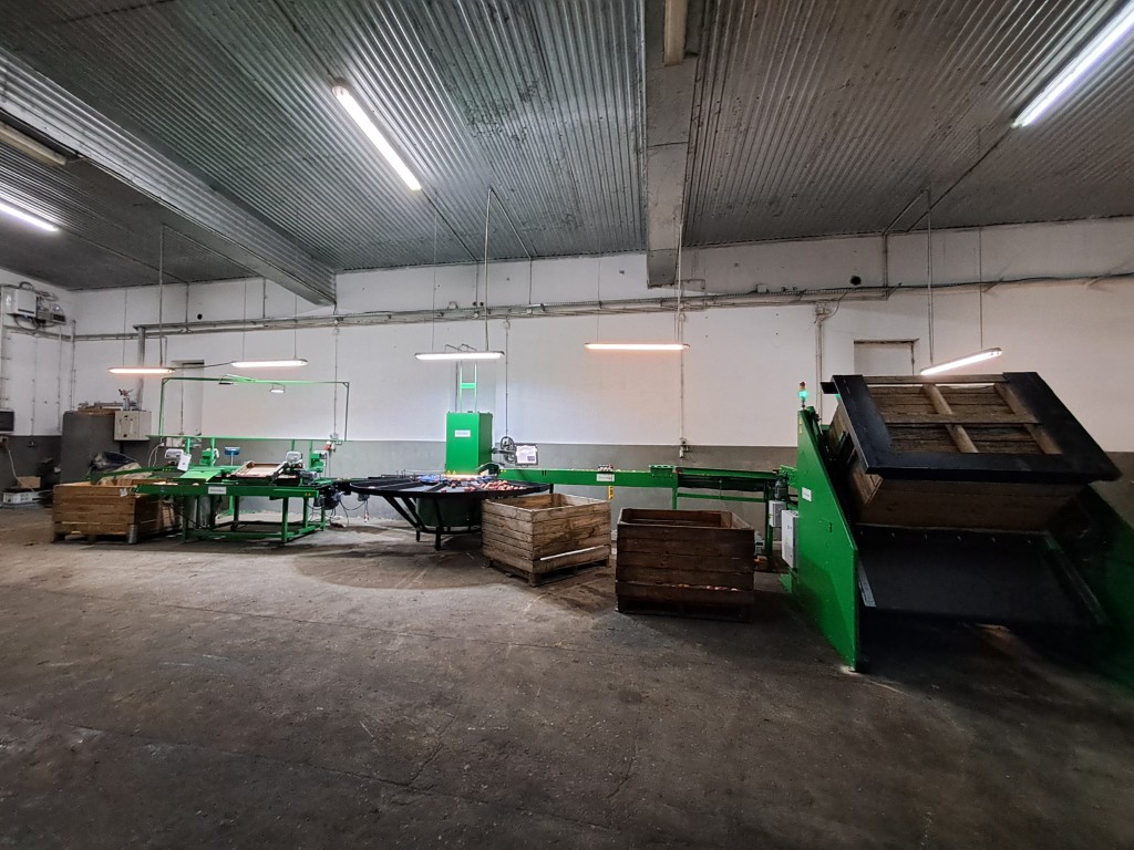 Sortownica do jabłek z układem odbioru owoców i skrzyniami w hali