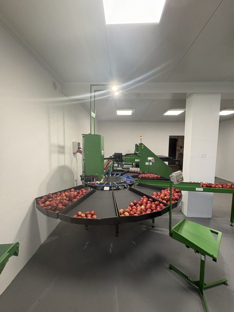 Linia do sortowania jabłek Green Sort ze stołami odbiorczymi