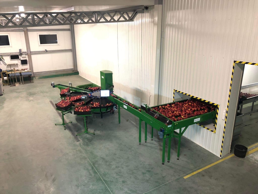Sortownica wizyjna do jabłek z rozbudowanymi stołami odbiorczymi